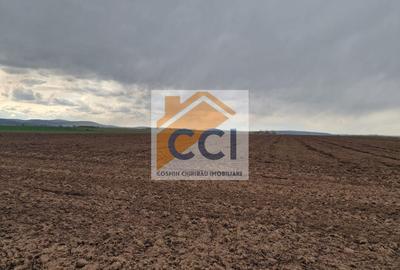 Teren agricol intravilan de 10000 mp, în Vest - 10
