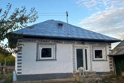 Casă cu 2 camere în Peceneaga - 5