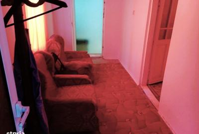 Casă cu 3 camere cu Teren 4302 Mp în Pleșoiu