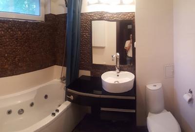 Apartament cu 2 camere semidecomandat, mobilat în Pajura - 9