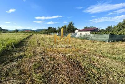 Teren Construcții intravilan de 600 mp, în Bușag - 2