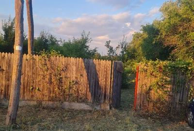 Teren de 3675 mp, în Moșoaia
