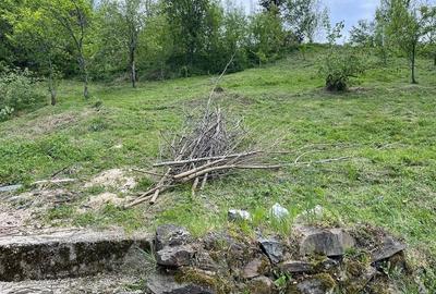 Teren de 1100 mp, în Văliug - 1
