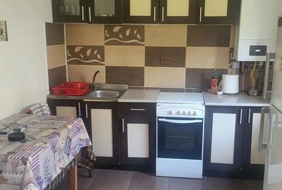 Apartament cu 2 camere decomandat în Pucioasa - 6
