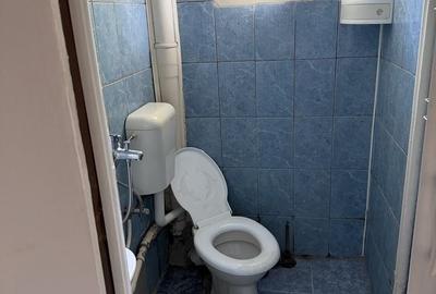 Garsonieră în Dosu Bricii