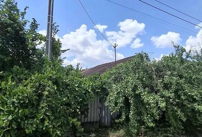 Casă cu Teren 1040 Mp în Floroaica