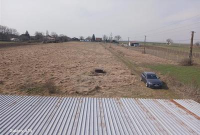Teren Construcții intravilan de 16000 mp, în Satu Nou - 3
