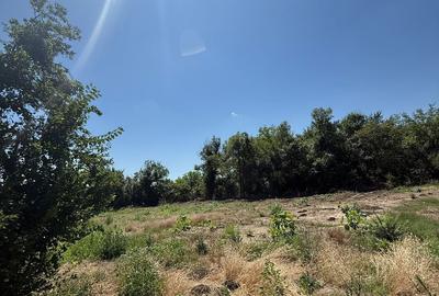 Teren de 1000 mp, în Ileana