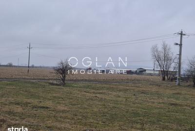 Teren de 11300 mp, în Șelimbăr