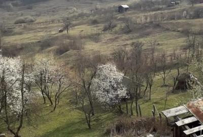 Casă în Tisa - 9