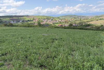 Teren de 2500 mp, în Șura Mare - 1