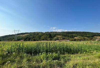 Teren de 2570 mp, în Bejan - 2