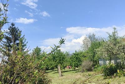 Casă cu 3 camere cu Teren 1376 Mp în Boldești