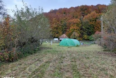 Casă cu 3 camere în Teliu - 1