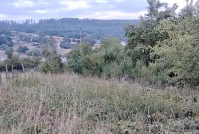 Casă cu 4 camere în Dărmănești