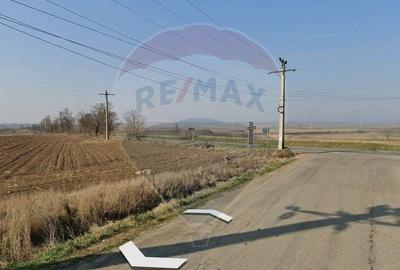 Teren Construcții intravilan de 6600 mp, în Bijghir - 4
