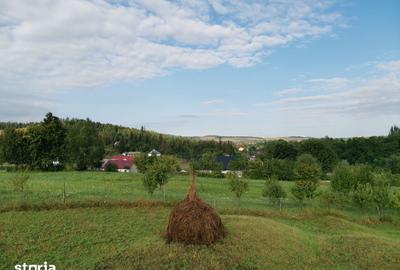 Teren de 7410 mp, în Cornu Luncii - 7