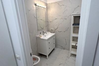 Apartament cu 2 camere semidecomandat, mobilat în Herăstrău - 5