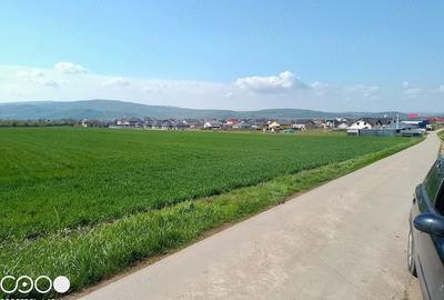 Teren de 5000 mp, în Dancu - 6