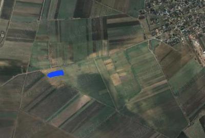 Teren de 12100 mp, în Lipia