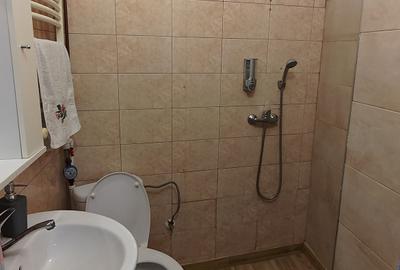 Apartament cu 11 camere decomandat, mobilat în Ultracentral - 6
