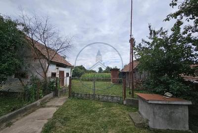Casă cu 4 camere cu Teren 3500 Mp în Central