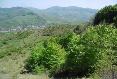 Teren de 5000 mp, în Chiojdu