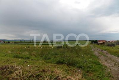 Teren Construcții extravilan de 10000 mp, în Șura Mică - 5