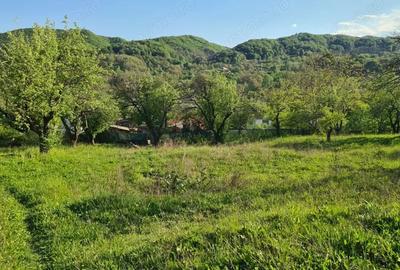 Teren de 950 mp, în Păușești