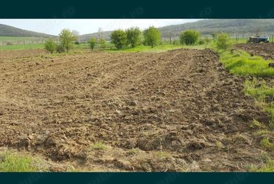 Teren de 6700 mp, în Sud - 2