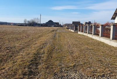 Teren Construcții intravilan de 3500 mp, în Zvoriștea
