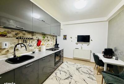 Apartament cu 2 camere în Roșu