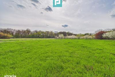 Teren de 820 mp, în Central - 5