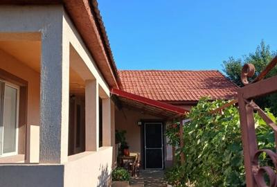 Casă cu 6 camere cu Teren 1600 Mp în Văcăreni