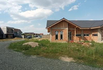 Casă cu 3 camere în Moșnița Nouă