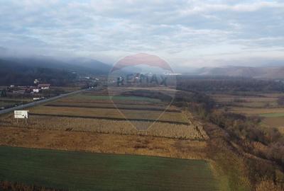 Teren Construcții intravilan de 9000 mp, în Gilău - 17