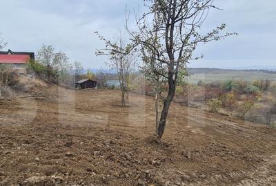 Teren de 900 mp, în Bârnova