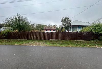 Casă cu 3 camere cu Teren 36 Mp în Avrămeni