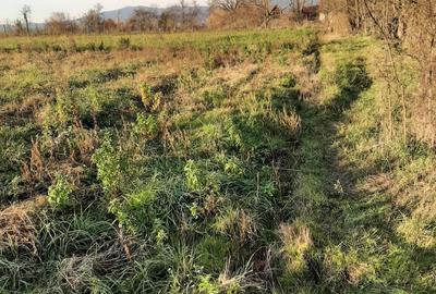 Teren de 1260 mp, în Ususău