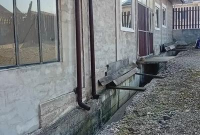 Casă cu Teren 1500 Mp în Târpești - 2