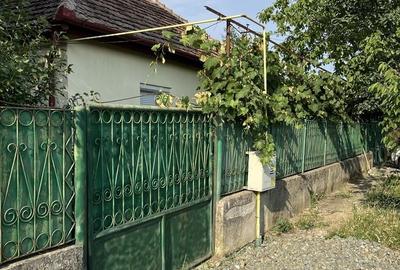 Casă cu 3 camere în Albina - 2