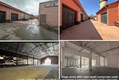 Spațiu industrial, de 200 mp, în Nicolina