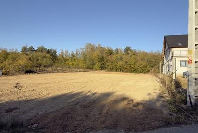 Teren de 706 mp, în Albota
