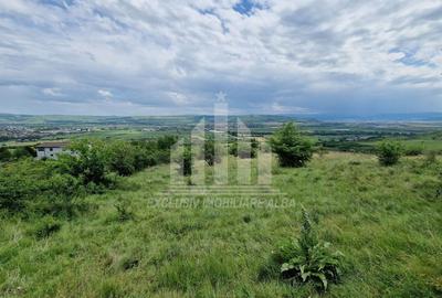 Teren agricol extravilan de 1400 mp, în Pâclișa - 1