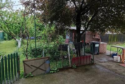 Casă cu 4 camere cu Teren 1250 Mp în Lipănești - 1