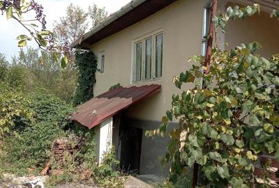 Casă cu 3 camere cu Teren 2500 Mp în Ciocmani