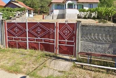Casă cu Teren 2000 Mp în Văgiulești