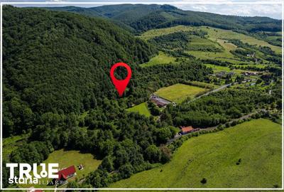 Teren de 2800 mp, în Eremitu - 16