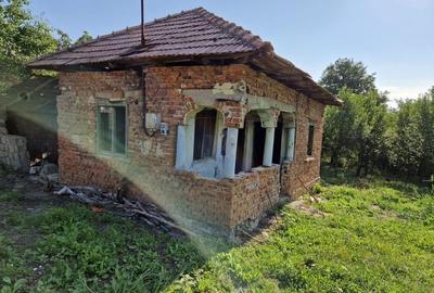 Teren de 2200 mp, în Milcoiu - 1