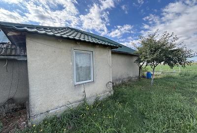 Casă cu Teren 1700 Mp în Padina